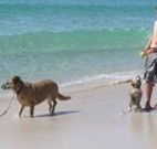 A Paradise Bungalow Waterfront - Kingaroy Accommodation