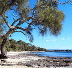 David Jones Cottage - Kingaroy Accommodation