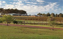 Hidden Treasure - Kingaroy Accommodation 6