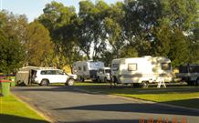 Husky Style - Kingaroy Accommodation 4