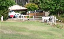 Kookaburra Cottage Pooncarie - Kingaroy Accommodation 4
