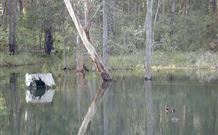 Kookaburra Cottage Pooncarie - Kingaroy Accommodation 6