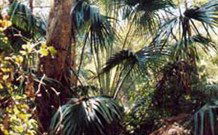 Moffat Falls Lodge, Cottages And Cabins - Kingaroy Accommodation 1
