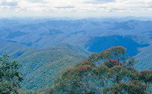 Lyrebird Studio - Kingaroy Accommodation 2