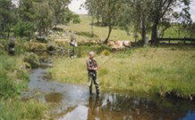 Milton Country Retreat - Kingaroy Accommodation 1