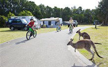 Norman Lindsay Cottage - Kingaroy Accommodation 4