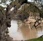 Valley View Cottage Hunter Valley