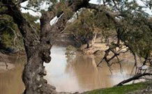Valley View Cottage Hunter Valley - Kingaroy Accommodation 0