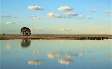 Valley View Cottage Hunter Valley - Kingaroy Accommodation 4
