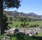 Woolshed Hill Estate