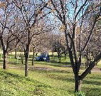 Worrowing Boat Shed - Kingaroy Accommodation