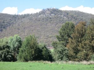 Jessica's Guest House And Vineyard - Kingaroy Accommodation 3