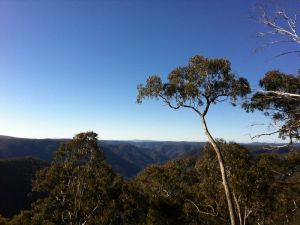 Cheyenne Wilderness Farmstay - Kingaroy Accommodation 5
