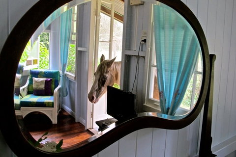Noosa Avalon Farm Cottages - Kingaroy Accommodation 10