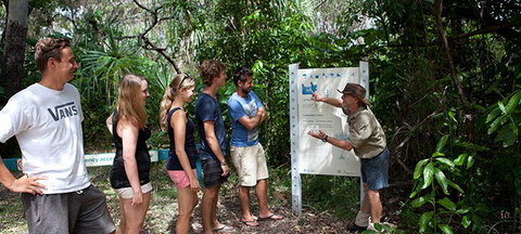 Magnetic Island YHA - Kingaroy Accommodation 8