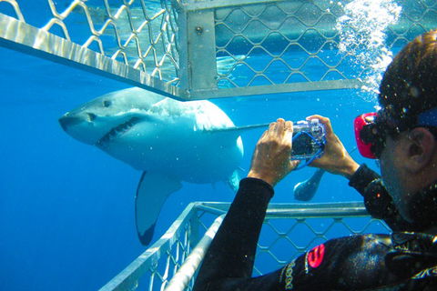 Port Lincoln YHA - Kingaroy Accommodation 7