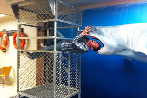 Port Lincoln YHA - Kingaroy Accommodation 6