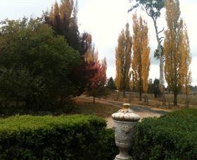 Glen Waverly Farmstay And Alpacas - Kingaroy Accommodation 0
