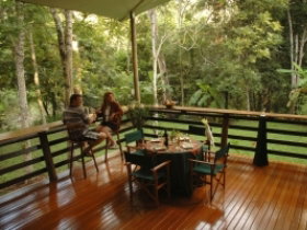 Cedar Park Rainforest Resort - Kingaroy Accommodation 3