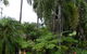 Hay Point Country Bed And Breakfast - thumb 1