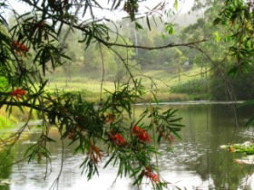 Crystal Waters Village Camping Area - Kingaroy Accommodation 2