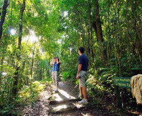 O'Reilly's Rainforest Retreat - Kingaroy Accommodation 2