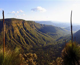 O'Reilly's Rainforest Retreat - Kingaroy Accommodation 3