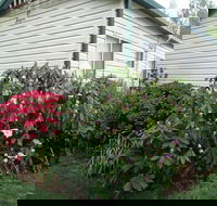 Jenolan Caravan Park - Kingaroy Accommodation