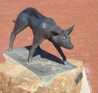 The Ardlethan Kelpie Caravan Park - Kingaroy Accommodation