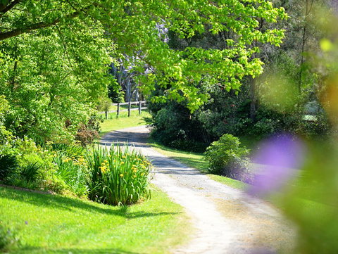 Bundara Farm - Kingaroy Accommodation 0