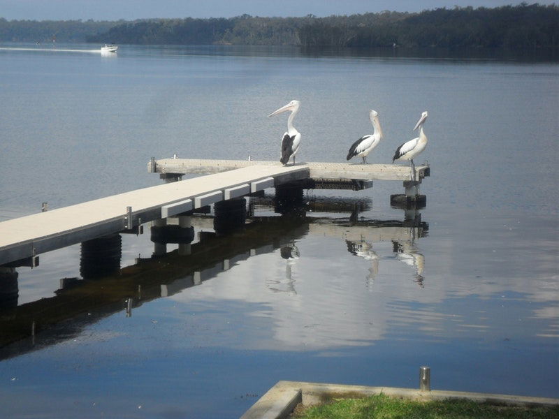 Basin View NSW Kingaroy Accommodation