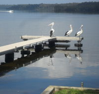 Basin Cabin - Kingaroy Accommodation