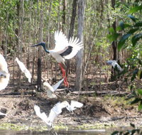 Rakhi Retreat - Kingaroy Accommodation