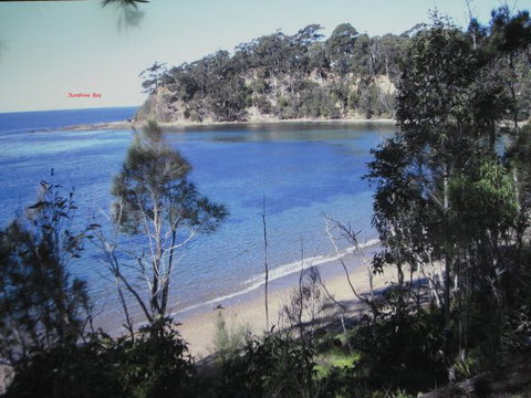 Grantham House  Pet Friendly Holiday Home - Kingaroy Accommodation 8