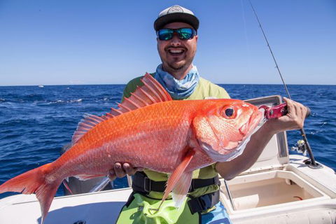 Mackerel Islands - Kingaroy Accommodation 7