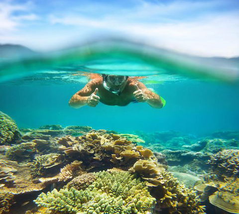 Mackerel Islands - Kingaroy Accommodation 8