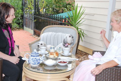 Must Love Dogs B&B And Self-Contained Cottage - Kingaroy Accommodation 2