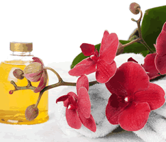 Sunny Hill Retreat Accommodation & Day Spa - Kingaroy Accommodation 0