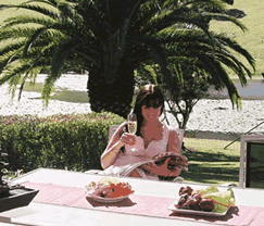 Sunny Hill Retreat Accommodation & Day Spa - Kingaroy Accommodation 4