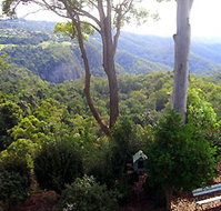 Mt Tamborine Motel