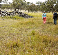 Carnarvon National Park camping - Kingaroy Accommodation