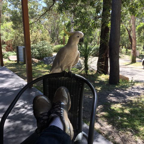 Gang Gang Villas - Kingaroy Accommodation 2