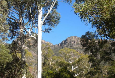 Gang Gang Villas - Kingaroy Accommodation 4