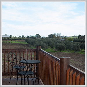 Wine Diva Tours - Kingaroy Accommodation 9