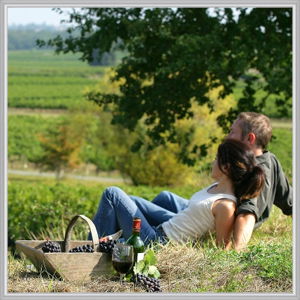 Wine Diva Tours - Kingaroy Accommodation 14