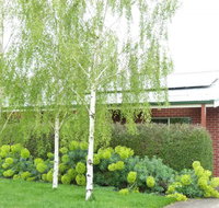 Birralee Cottage - Kingaroy Accommodation