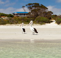 Kangaroo Island Star Beach House - Kingaroy Accommodation