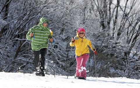 Frueauf Village - Kingaroy Accommodation 20