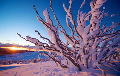 Frueauf Village - Kingaroy Accommodation 11