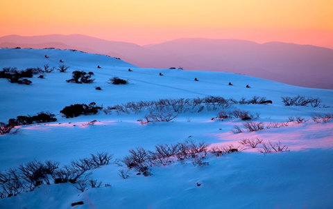 Frueauf Village - Kingaroy Accommodation 33